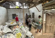 Pria Glenmore Kepergok Curi Pupuk Kebun