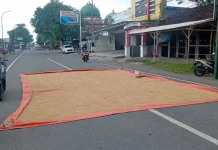 Warga Manfaatkan Jembatan Sentong untuk Menjemur Padi