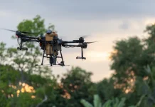 Drone dan AI Bantu Petani Mengatasi Gulma di Lahan Pertanian