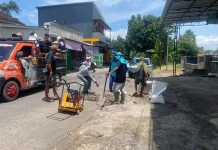 Warga Pujer Swadaya Tambal Sulam Jalan Berlubang