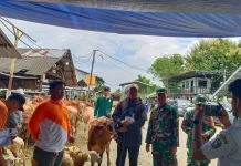 Sebanyak 150 Buruh Tani Terima Sapi dan Kambing