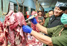 Dispertan Pastikan Daging Aman jelang Lebaran