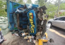 Dua Truk Adu Banteng, Pasutri Meninggal Dunia