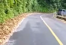 Petugas Siagakan Alat Berat di Jalur Selatan Lereng Semeru