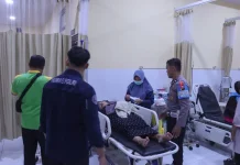 Seorang Ibu Rumah Tangga Pingsan saat Pawai Ogoh-ogoh