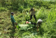 Warga Desa Karang Duren Jember Ditemukan Meninggal Dunia