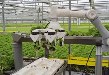 Robot AI Pemetik Buah Raih Penghargaan