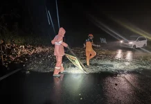 Jalur Lereng Semeru Lumajang Longsor