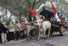 Arak-Arakan Pegon Semarakkan Lebaran Ketupat di Pantai Watu Ulo