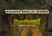 Wahana Rain Forest di Jember Mini Zoo : Sajikan Eksplorasi Satwa dan Zona Edukasi