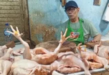 Harga Daging Ayam Turun Drastis Pasca Lebaran
