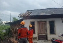 Angin Kencang Sukosari Rusak Rumah dan Warung