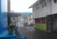 Hujan Deras Guyur Lumajang, BPBD Imbau Waspada