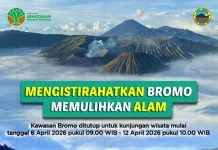 TNBTS Tutup Wisata Gunung Bromo untuk Pemulihan