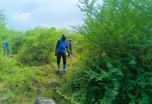 Pencarian Penggembala Sapi di Hutan Baluran Masih Nihil