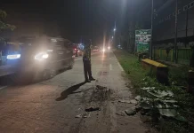 Gagal Menyalip Truk, Dua Orang Tewas di Puger