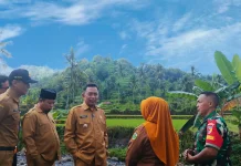 Bupati Tinjau Banjir Wonoboyo, Siapkan Penanganan Permanen