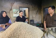 Harga Kedelai Naik, Perajin Tempe Tetap Pakai Kedelai Impor