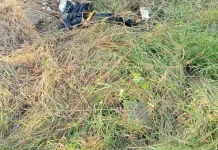 Suwardi Penggembala Sapi Ditemukan Tinggal Tulang Belulang
