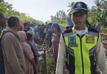 Pejalan Kaki Tertabrak KA Ranggajati di Sumberbaru Jember