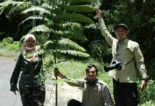 Menembus Jejak Zaman Dinosaurus, Kisah Riset Paku Purba