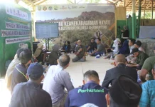 PT POMI Gandeng UNM Jaga Hutan Rakyat Situbondo