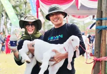 Ekonomi Tumbuh dari Akar Rumput, Susu Kambing Senduro Jadi Pengungkit Desa