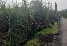 TNI dan Warga Bersihkan Jalan Desa Darungan Lumajang