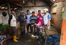 Cegah PMK, DKPPP Jember Vaksinasi 69 Sapi di Gumukmas