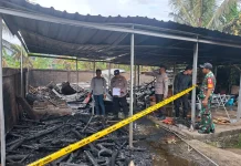 Dapur Rumah Warga di Tegaldlimo Banyuwangi Terbakar, Kerugian Rp60 Juta
