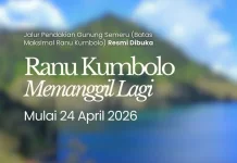 Pendakian Semeru Kembali Dibuka, Wisata Alam Bangkit Lebih Aman dan Terkendali