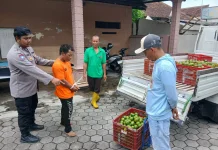 Pria di Banyuwangi Ketahuan Mencuri Buah Jeruk