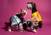 Adidas Rilis Jersey Piala Dunia 2026 untuk Hewan Peliharaan