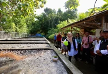 Budidaya Lele Air Jernih, Pemuda Banyuwangi Raup Omzet Ratusan Juta Rupiah
