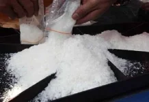 Oknum PNS Lumajang Ditangkap Polisi