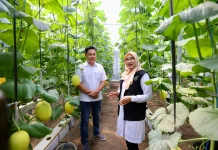 Dari Sarjana ke Petani, Anak Muda Banyuwangi Ubah Wajah Pertanian