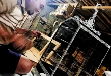 Pemuda Sumbersari Kreasikan Sangkar Burung Bernilai Tinggi dari Kayu Sederhana