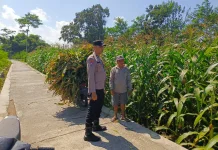 Polisi di Lumajang Suport Program Ketahanan Pangan Nasional