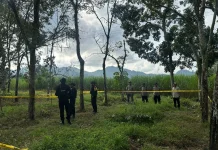 Granat Aktif Ditemukan di Kebun, Tim Gegana Turun Tangan