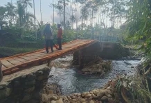 TRC BPBD Jember Tinjau Jembatan Ambruk di Tanggul