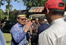 Wamen Komdigi: Egrang Jadi Tombol Jeda Anak dari Dunia Digital