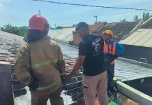 Gudang Kardus di Banyuwangi Terbakar Diduga Akibat Korsleting