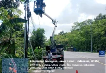 Lumajang Percepat Perbaikan PJU