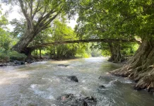 Kedung Mayit Tempurejo Jadi Hidden Gem Wisata Alam di Jember