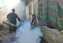 Petugas Kesehatan di Lumajang Cegah Penyakit DBD