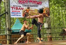 Tiban Sodo Purwo Hidupkan Tradisi Adu Pecut di Banyuwangi