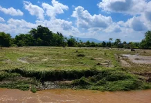 Puluhan Hektar Lahan Pertanian di Lumajang Terendam Banjir