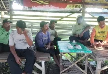 Hama Wereng Ancam Panen, Petani Jember Dibekali Teknik Pengendalian