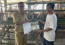 DKPPP Jember Intensifkan Pemeriksaan Hewan Kurban Jelang Iduladha