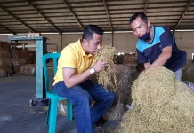 Petani Bondowoso Tolak Batas Nikotin Rokok